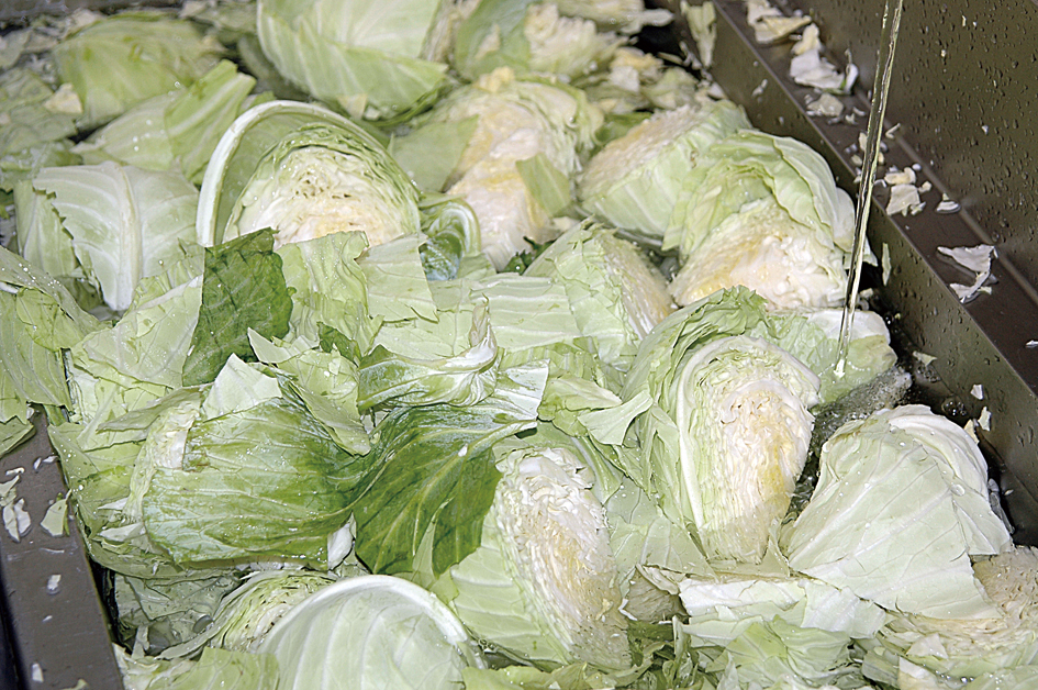 フレッシュ豚モモ肉をカット